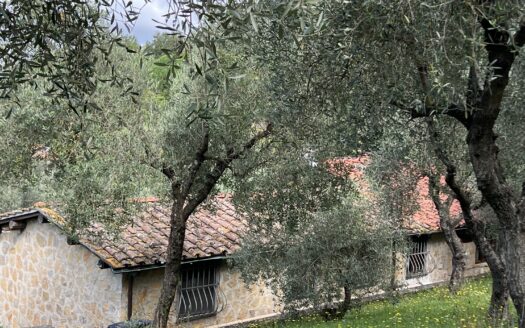 Meravigliosa villa con piscina e vista mozzafiato
